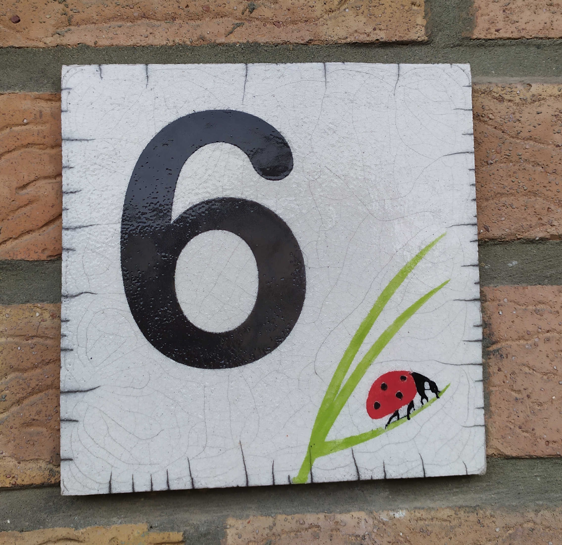 Plaque N°6 coccinelle